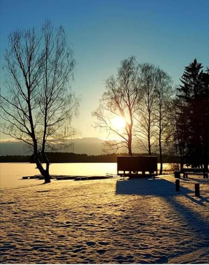 Lake Apartment فيزاغيناس المظهر الخارجي الصورة